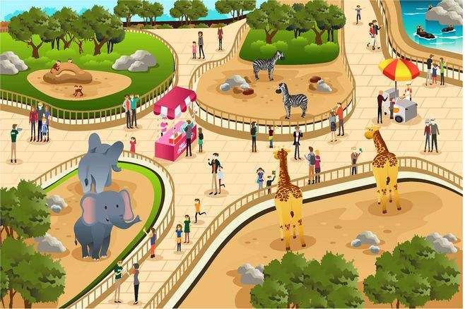 动物园app开发